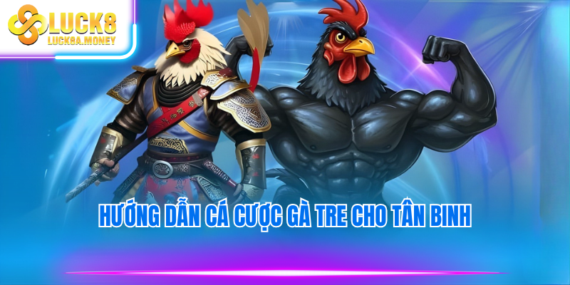 Hướng dẫn cá cược gà tre cho tân binh